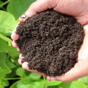 organic-fertilizer