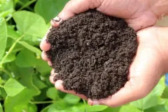 organic-fertilizer